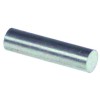 Magnet ? 10mm L 40mm