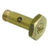 ARTICULATION SCREW