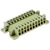 Steckverbinder 10-polig STV 2/10