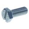 Shower Screw