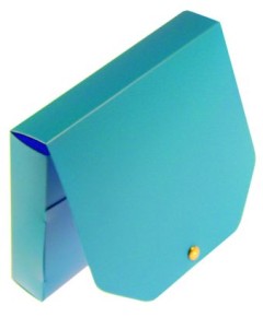Bag for core temperature probe