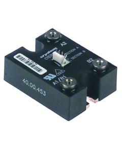 Solid state relay Rational 8720.1583