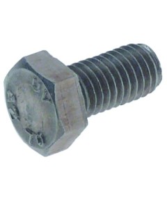 Hexagonal screw thread M8 thread L 16mm SS WS 13 Rational 1008.0760P