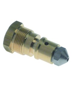 nozzle holder with nozzle