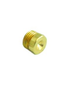 NOZZLE M10x1 HOLE ? 0.8 mm