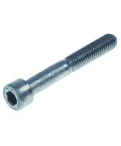 cylinder head bolt thread M8 L 55mm thread L 29mm WS 6 SS Qty 1 pcs head ? 13mm head thickness 8mm