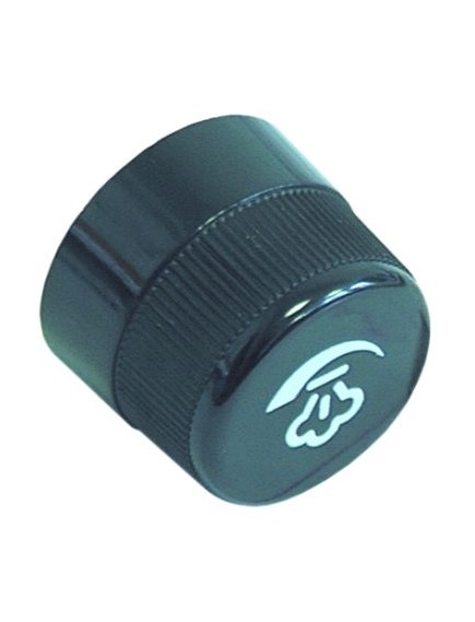 knob steam ? 40mm shaft ? 6x6mm shaft flat square black