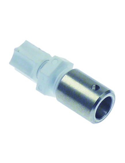 Beh?lterfilter mit Beschwerer und R?ckschlagventil Schlauch ? 4x6mm ? 20mm L 56mm