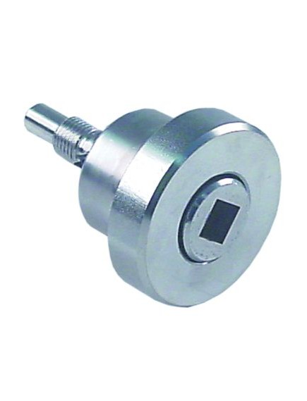Auxiliary drive shaft