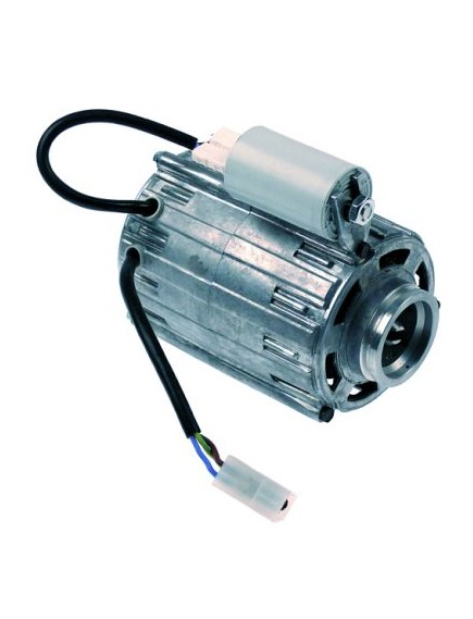 pump motor RPM type C013728 120W 230V 50Hz connection clip ? 100mm L 145mm capacitor 8µF