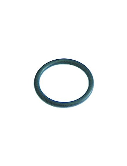 O-ring EPDM thickness 2,62mm ID ? 22,22mm Qty 1 pcs