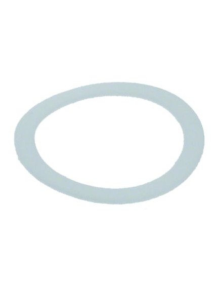 flat gasket PTFE ED ? 26mm ID ? 20,5mm thickness 0,5mm Qty 1 pcs