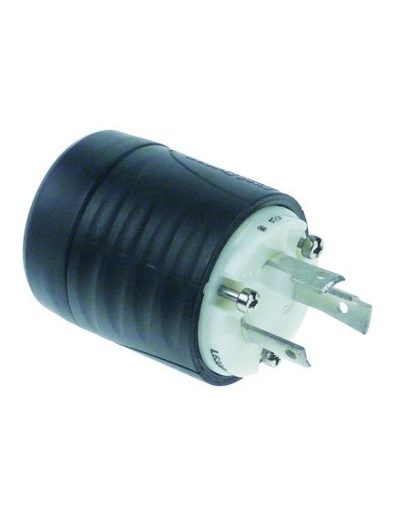 Plug 2-pole max 250V max. 30A