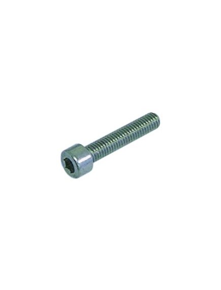 Cylinder head bolt thread M5 thread L 20mm WS 4 SS Rational 1005.0661