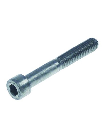 cylinder head bolt thread M8 L 55mm thread L 29mm WS 6 SS Qty 1 pcs head ? 13mm head thickness 8mm